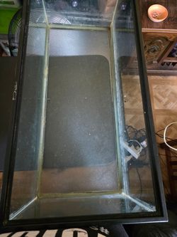 10 Gallon Tank