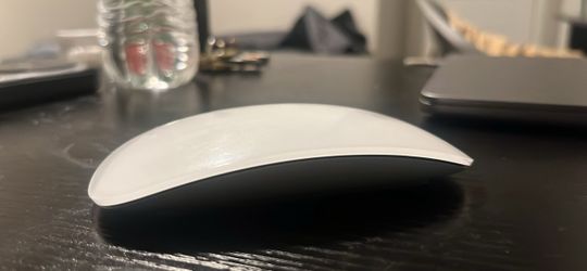 Apple magic mouse