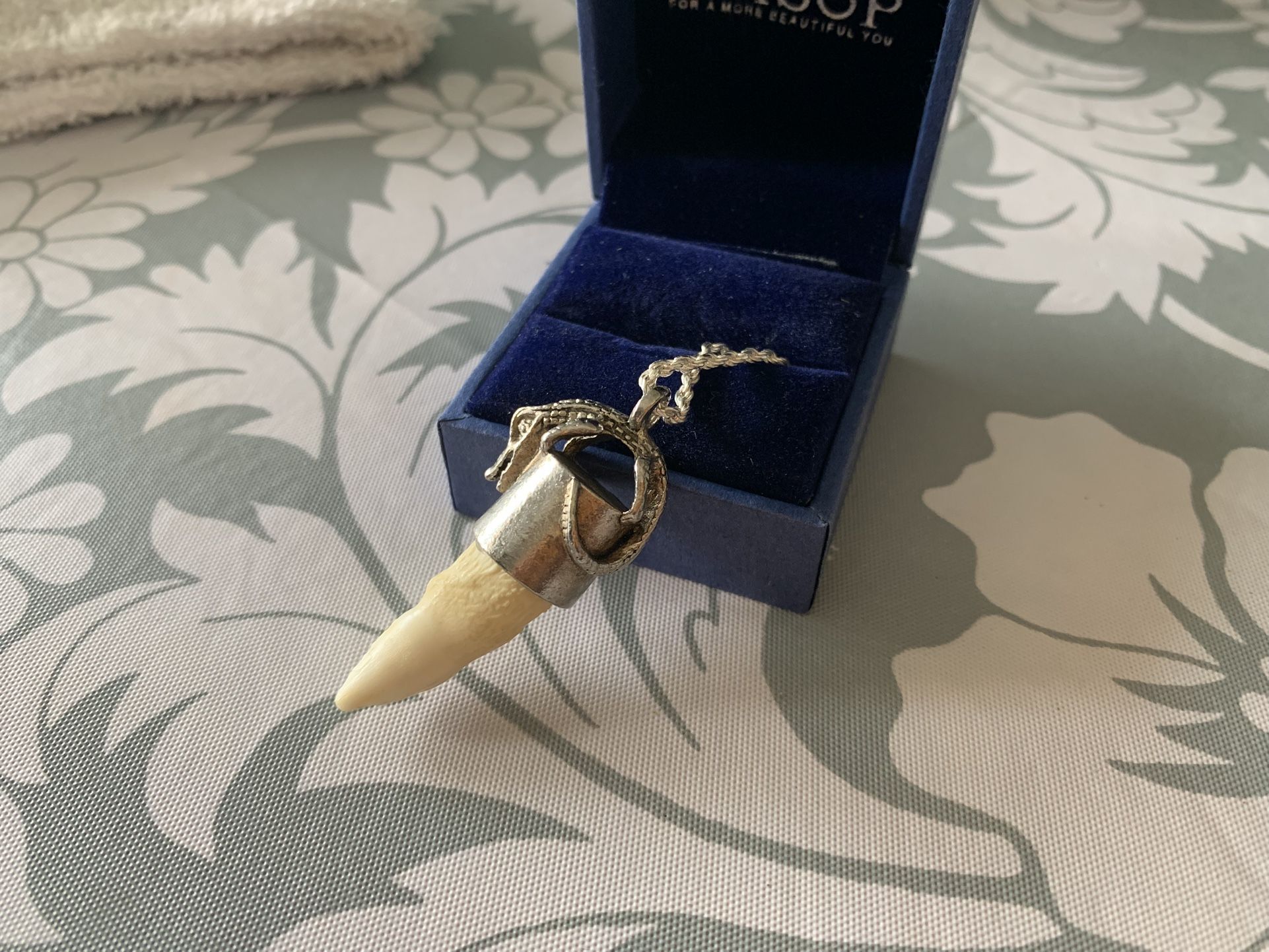 Alligator Tooth Necklace