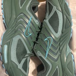 Nike Air Pegasus 2k5 Fir Bicoastal Mens Size 11