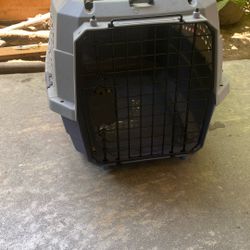 Pet Supplies 