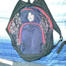 Kids WWE Backpack for Sale in Saint George, SC - OfferUp