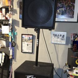 PEAVEY 115 AND peavey 118 4 Speakers