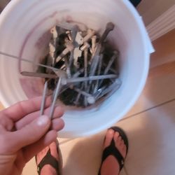 Bucket Of Bolts And Nails 