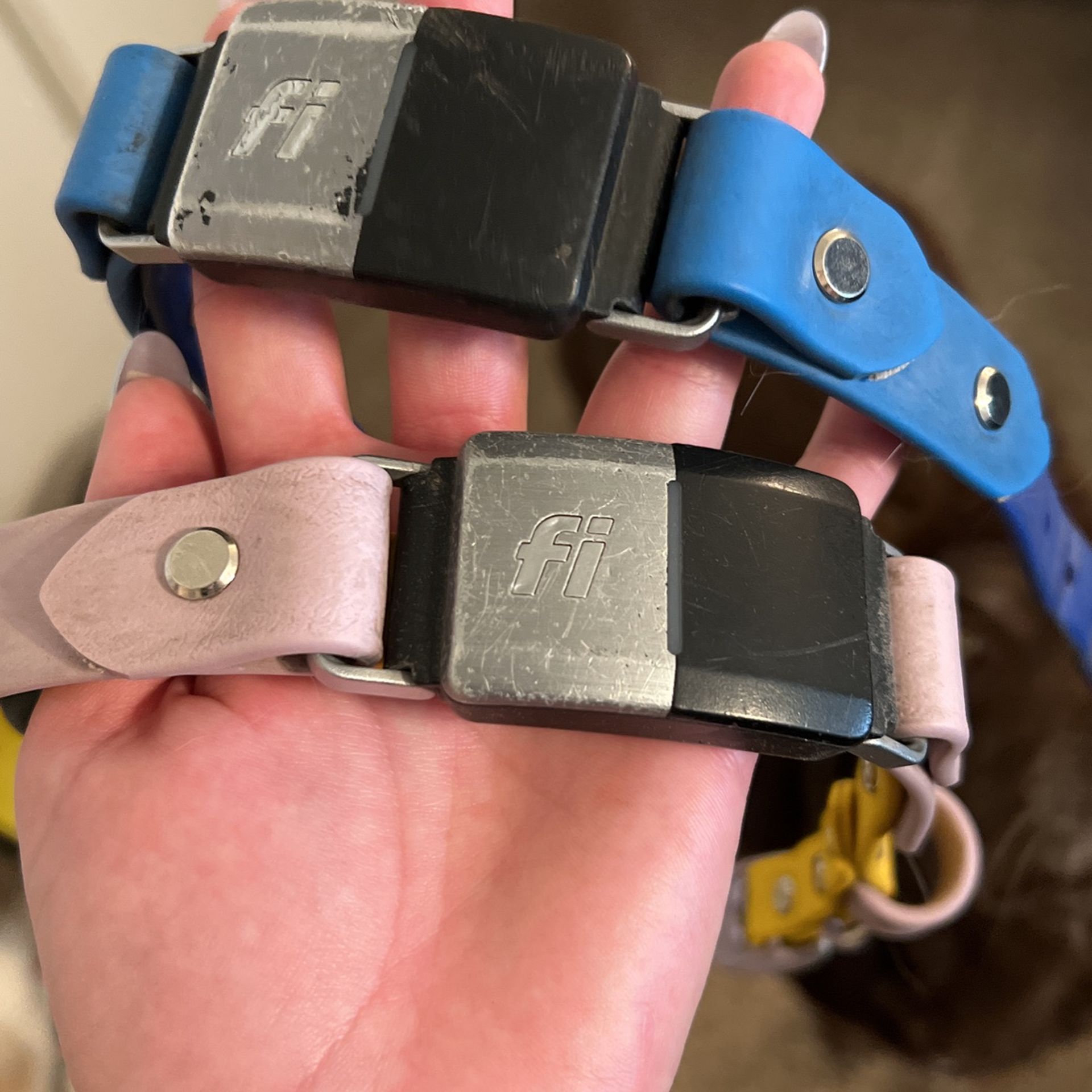 Two Series 2 Fi Dog Collars With Medium Custom Collars 