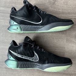 Nike Lebrons / Free Accessories 