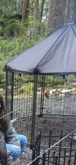 Outdoor portable dog kennel