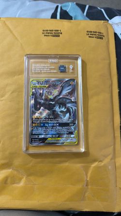 Pikachu and Zekrom Tag 9