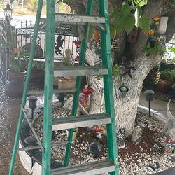 Werner 8ft Ladder 