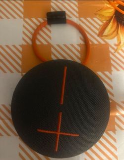 UE  ROLL BOOM 2 $60