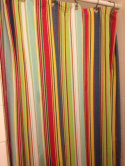 Shower curtain