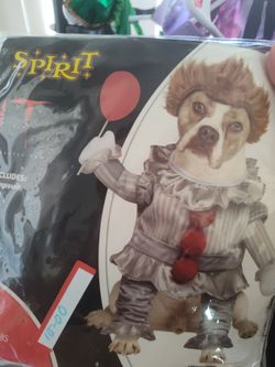 Pets Its costume