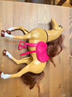 Barbies + Accessories