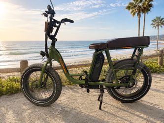 Rad RadRunner Electric Bike – Passenger kit & lcd upgrade