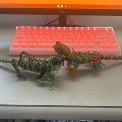 Lizards 