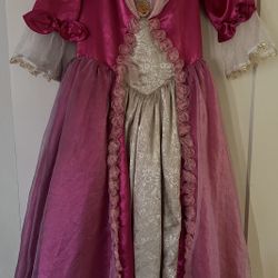 Disney Princess Halloween Costume 