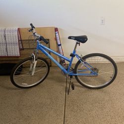 Mountain Bicycle 