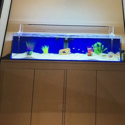 90 GAL ACRYLIC AQUARIUM