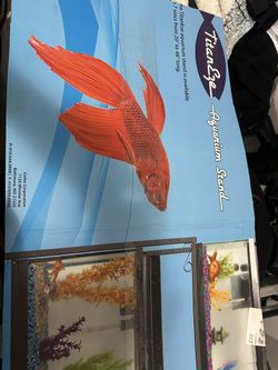 Aquarium Stand