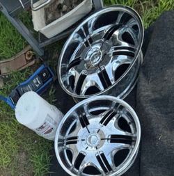 RIMS