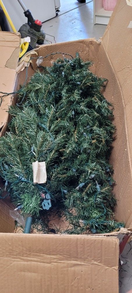 2 Black 4 1/2 Ft Noble Potted Firs