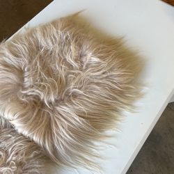 Sheep Skin