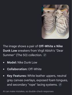 Off white Nike dunk low