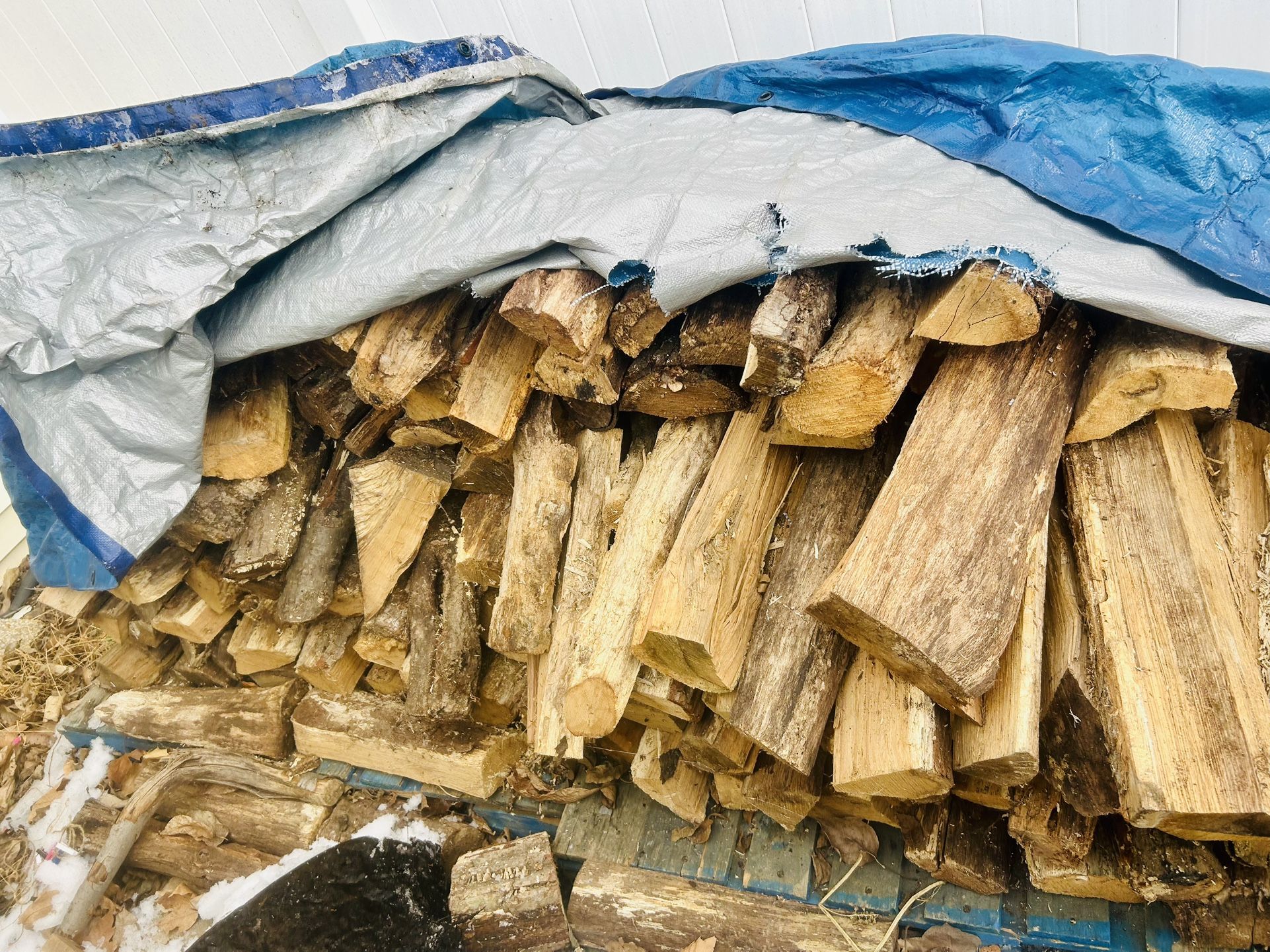 Firewood