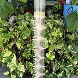 Rainstick Dreams Large Amaranth Seed Rainstick 