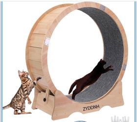 Wooden Cat Exercise Wheel