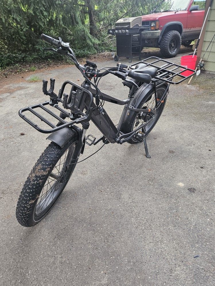 Rad 6+ E Bike