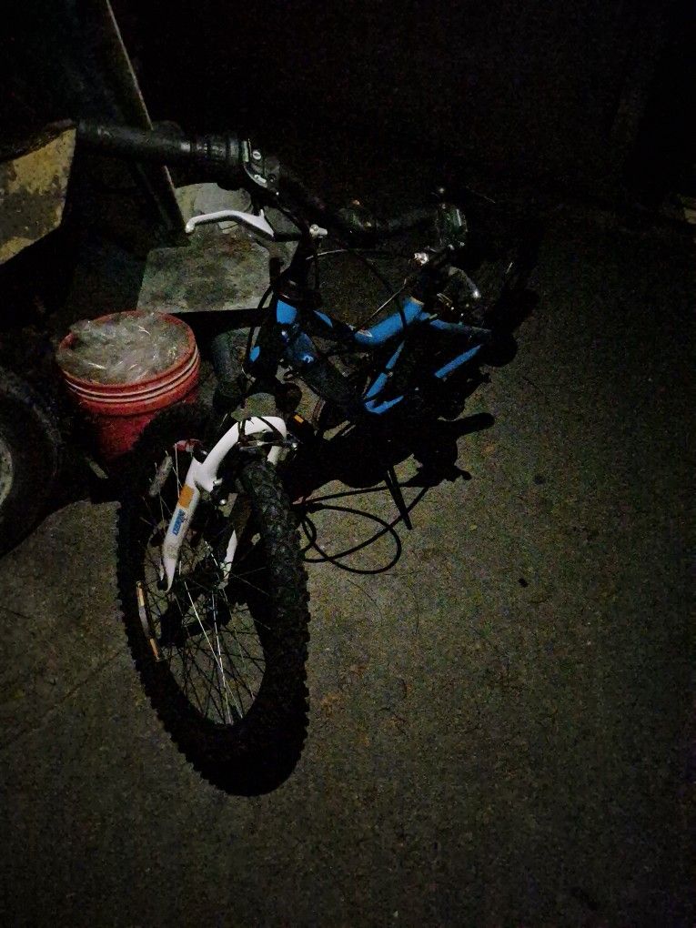 Diamond Bike