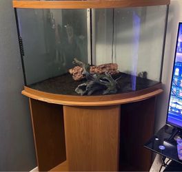 Large corner fish tank