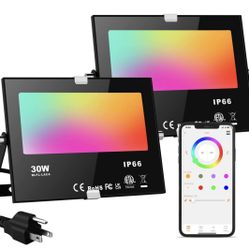 LED Flood Lights RGB Color Changing 300W Equivalent Outdoor, 30W Bluetooth Smart Floodlights RGB APP Control, IP66 Waterproof, Timing, 2700K&16 Millio