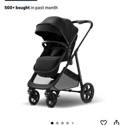 Mom push Stroller 