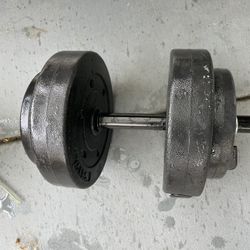 Barbell 40-Pound Vinyl Dumbbell 