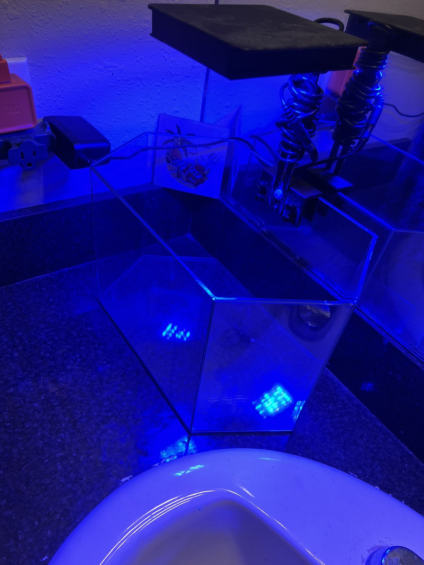 4 Gallon Nano Tank