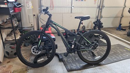 OBO: Schwim Sidewinder mountain bike