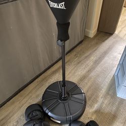 Everlast Speed Punching Bag 