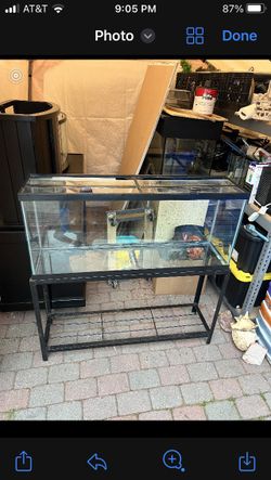 55 Gal Fish Tank