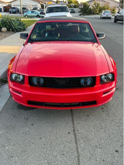 05 Mustang gt