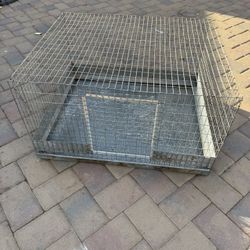 Jaula/cage