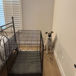 Large Dog Create - Like New