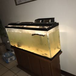 55 Gallon Fish Tank