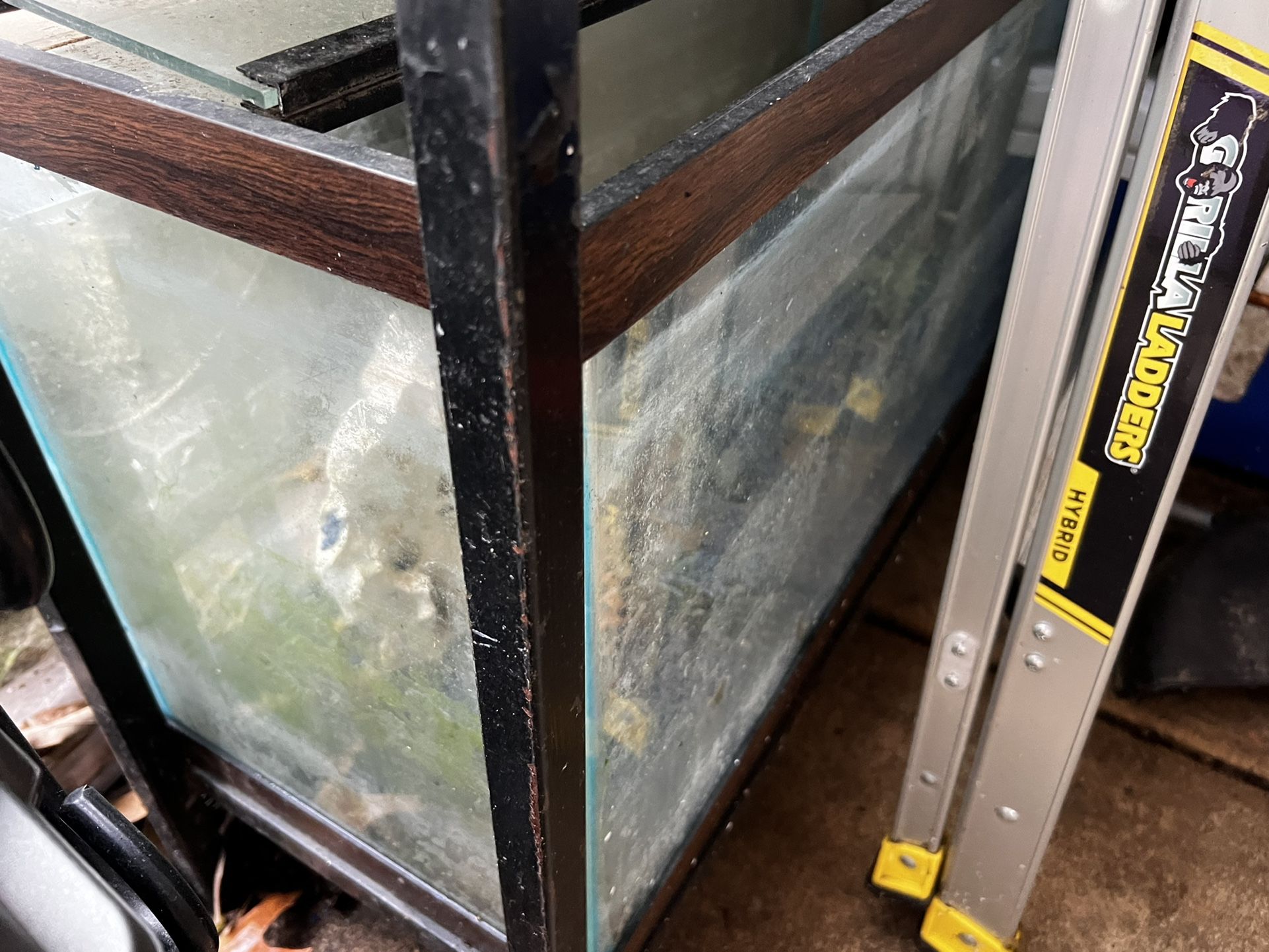 Multiple fish tanks And Stands For sale