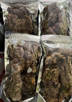 Cork bark wood reptile isopods