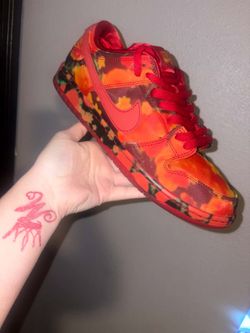 Nike sb dunk