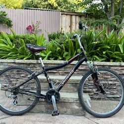 Specialized Expedition Sport Bike