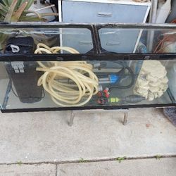 60 GALLON GLASS AQUARIUM TANK SETUP 