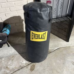 Everlast Punching Bag 